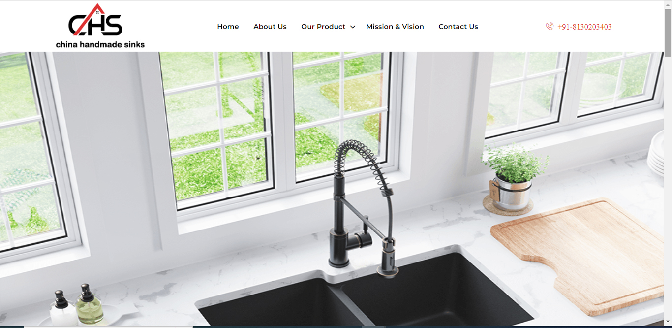 Website Designing Company in Noidai