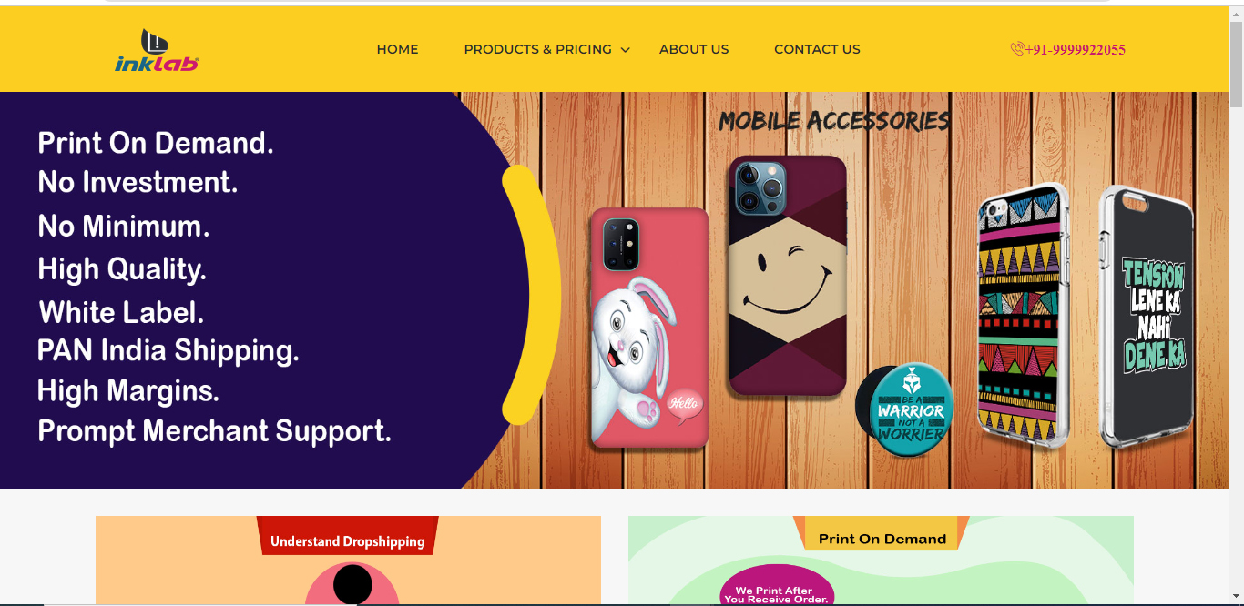 Website Designing Company in Noidai